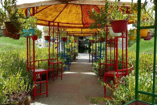 Dubai Butterfly Garden