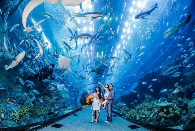 Dubai Aquarium & Underwater Zoo + Penguin Cove