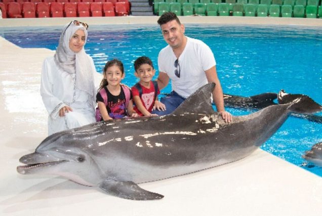 Dubai Dolphinarium - Deira Creek